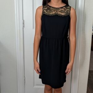 LOFT Gold Yoke Sheath Black Cocktail Dress